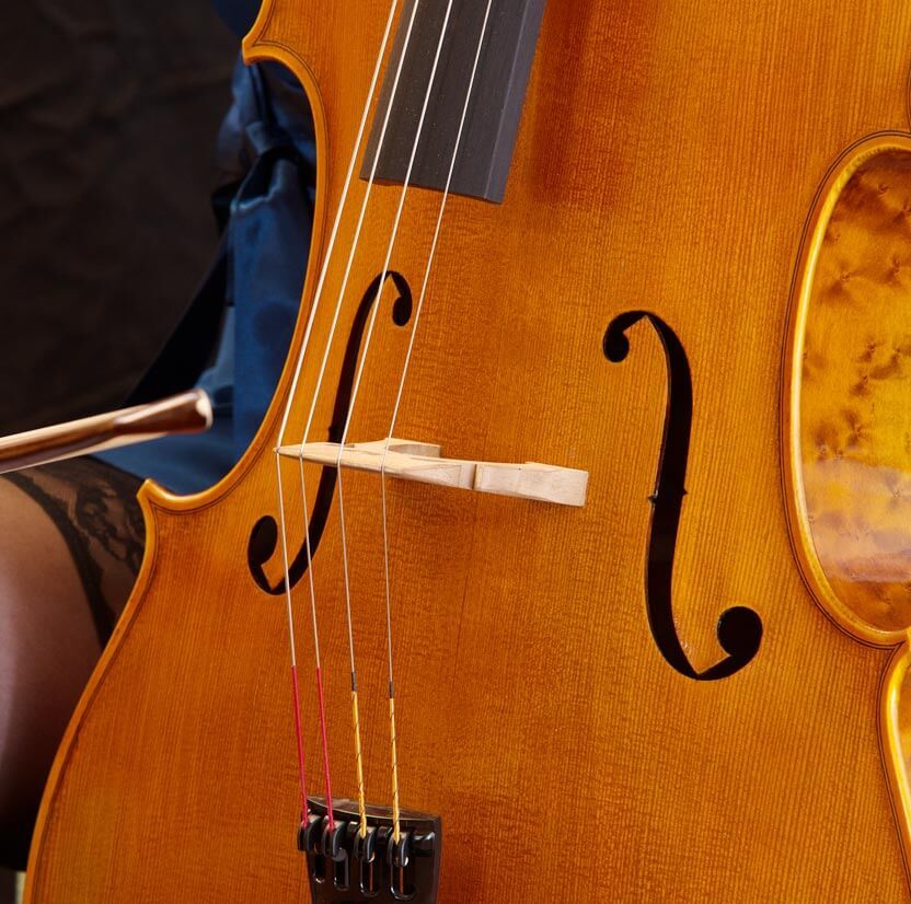 Bespoke instruments | Lothar Semmlinger Streichinstrumente