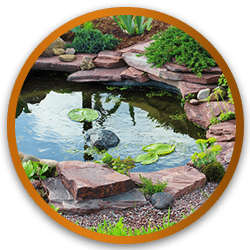 ברכות נוי מעוצבות