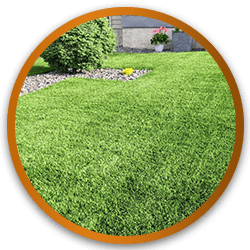 דשא אמיתי או סינטטי