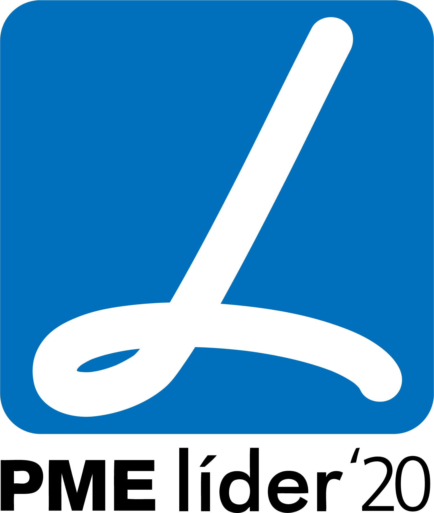 PME líder 2019