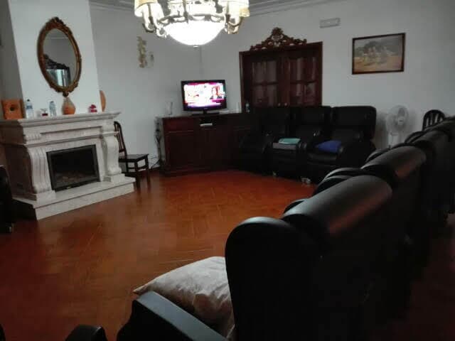 camila-damasio-91788-unsplash