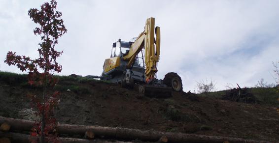 aménagements mur de bois