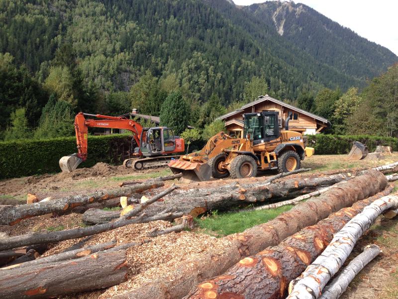 abbattage broyage de branches