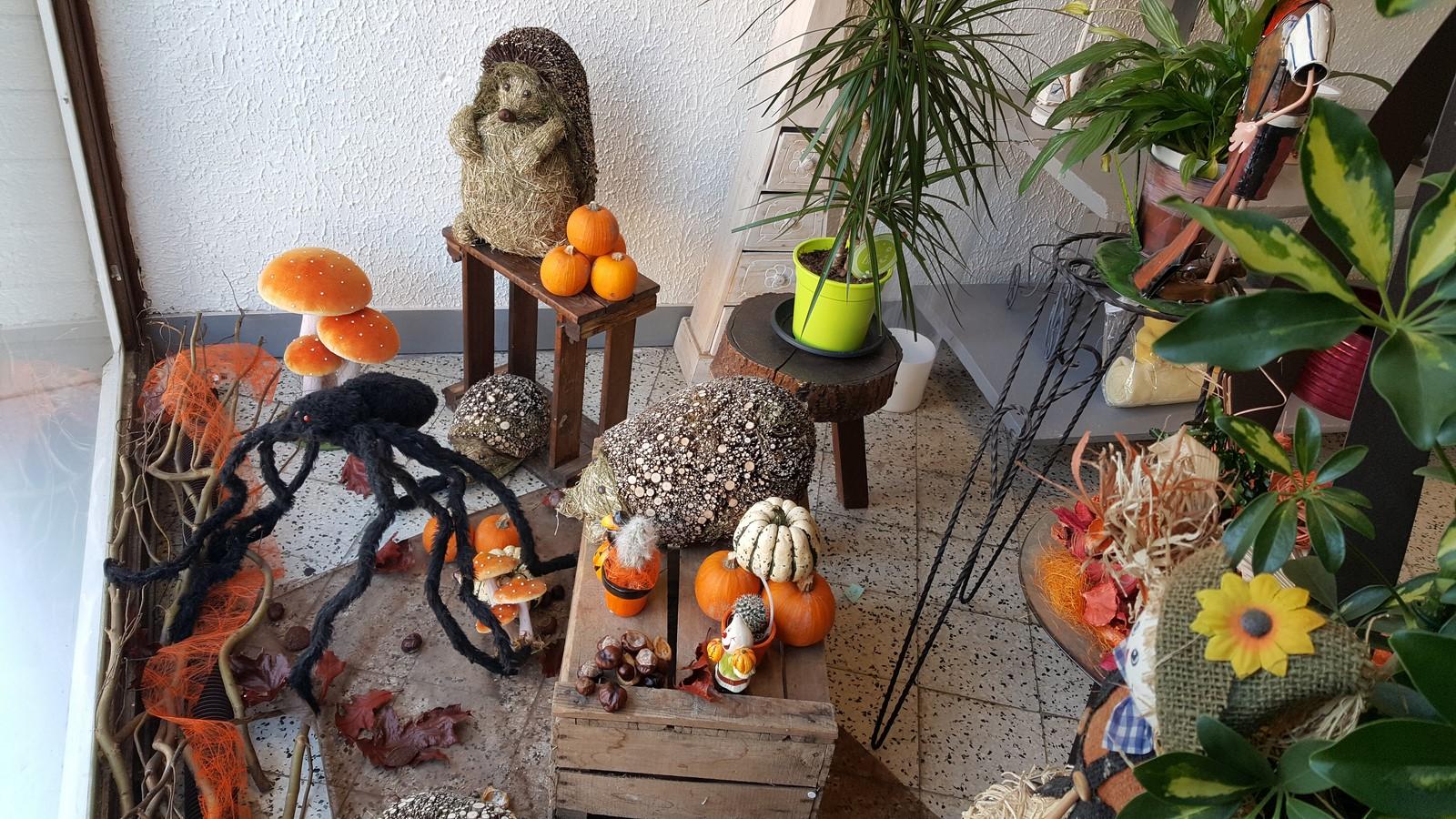 Décoration D'intérieur