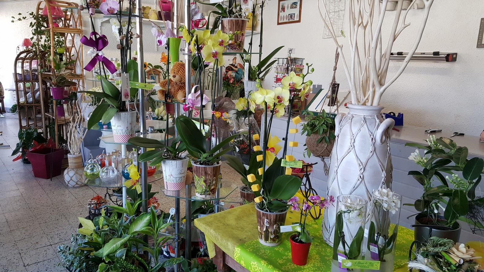 Compositions Florales - Fleuriste Rue