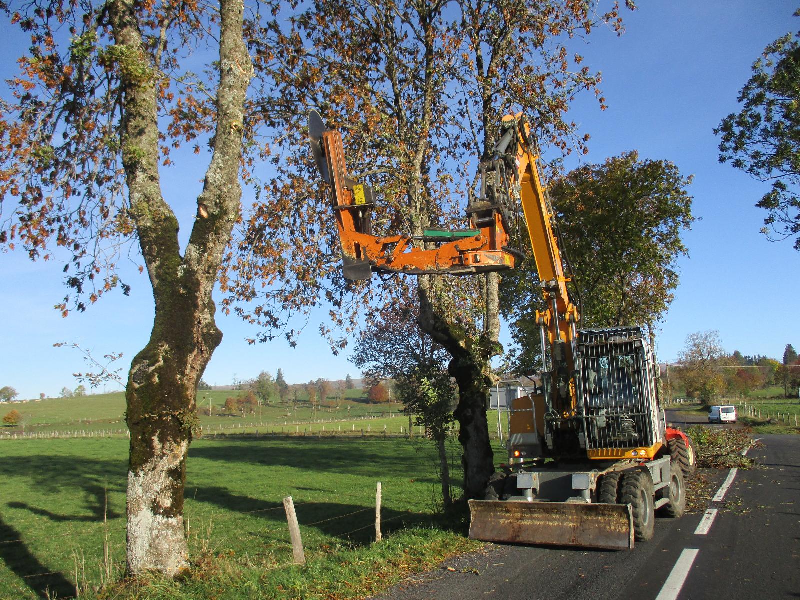 Pelle équipée d’un lamier mono scie de 900 mm de diamètre et permettant une coupe jusqu’ à 50