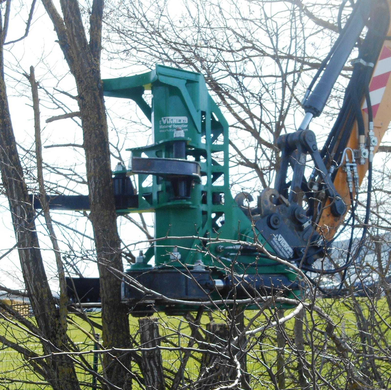 Arbre coupé au moyen du grappin coupeur (l’arbre et maintenu lors de la coupe et peut ensuite