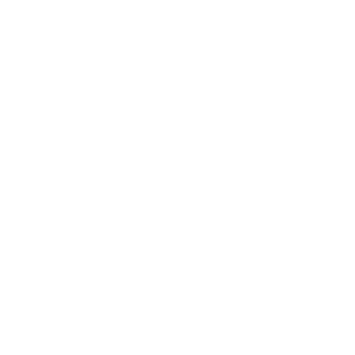 S.thetique landing logo