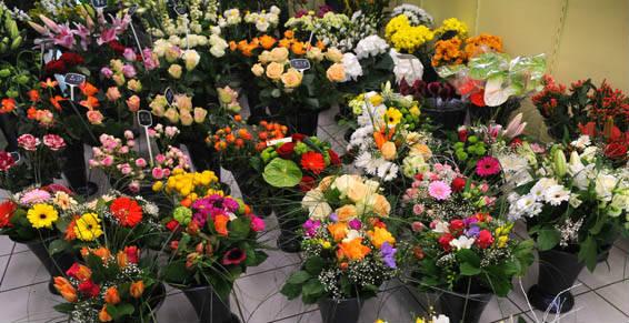 Toutes variétés de fleurs