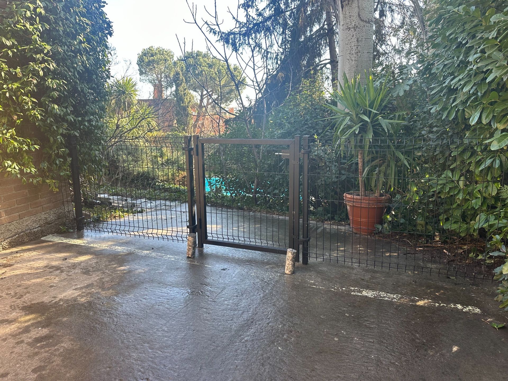 Puerta en un entorno de jardín; puerta de madera oscura con barras de metal negro, rodeada de exuberante follaje verde y una planta en maceta.