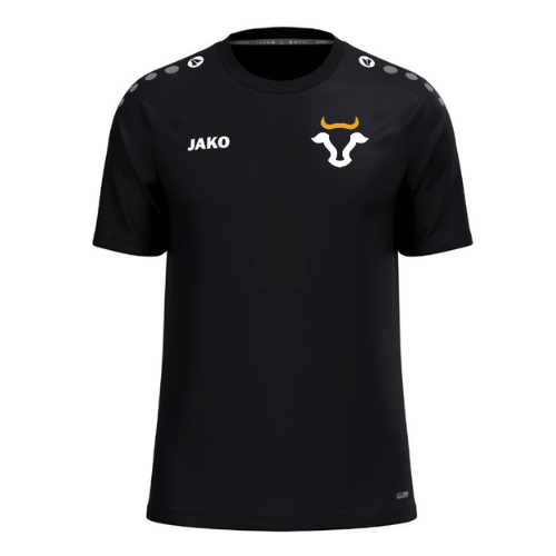 CHM - T SHIRT TECHNIQUE HOMME