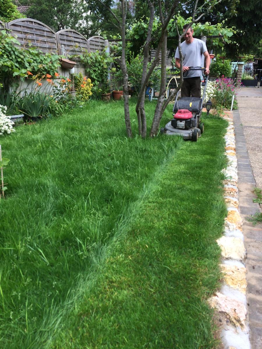 Paysagiste Jardinier Versailles Et Guyancourt 78 Paysagiste Jardinier Versailles Et Guyancourt 78