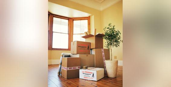 ADP Prodem - Matériel fragile et sensible