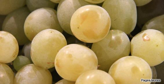 Pépiniériste viticole