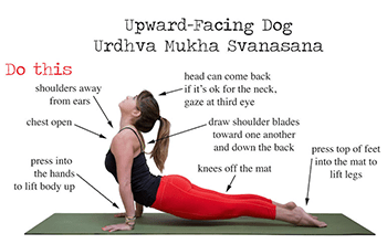 מאמרים חשובים