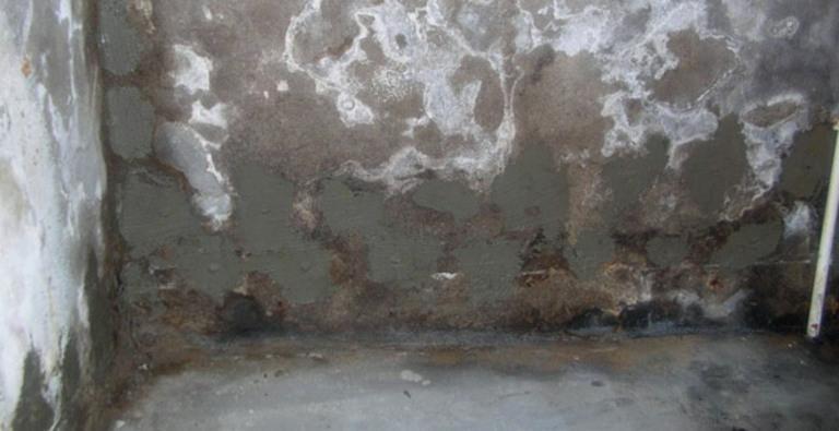 Mur dégradé - salpêtre