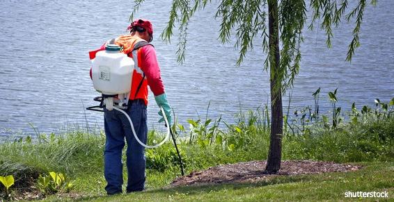 Saint Rémy en Mauges - Jardins, parcs