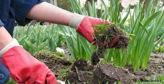 M. Cesbron Jean Marie - Paysagistes