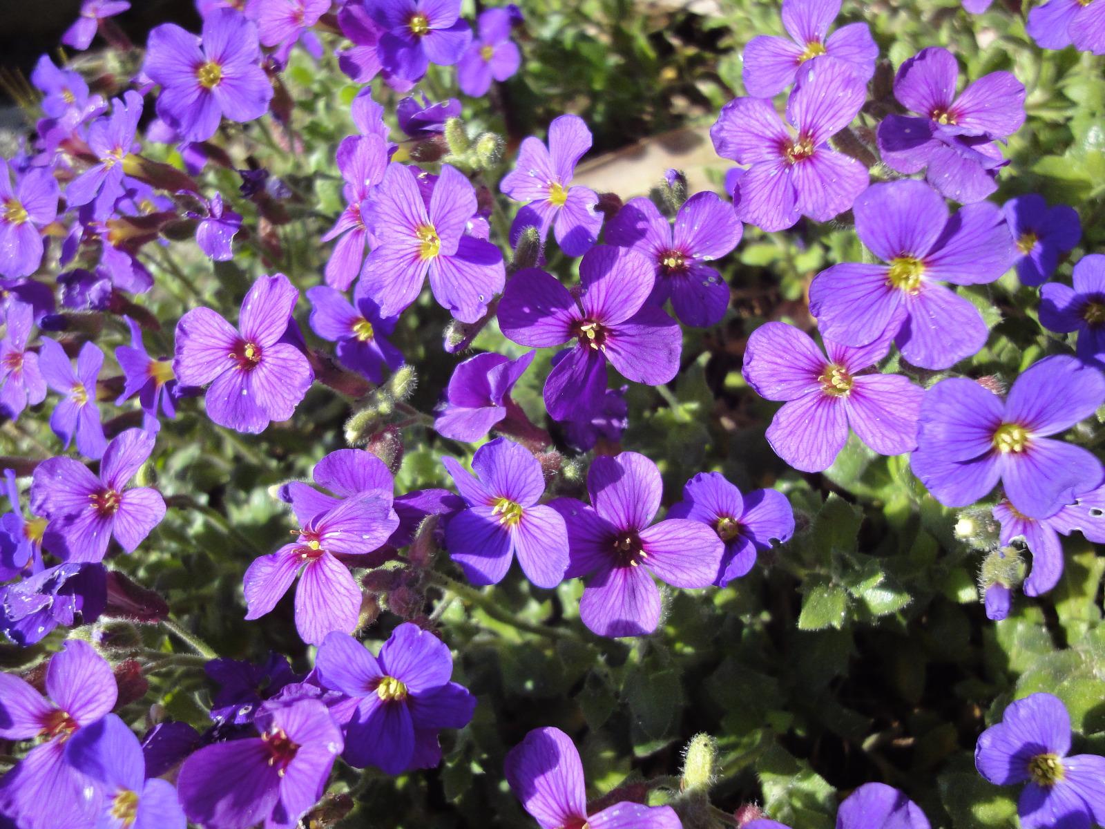 Nature et bout de ficelle à Rosporden