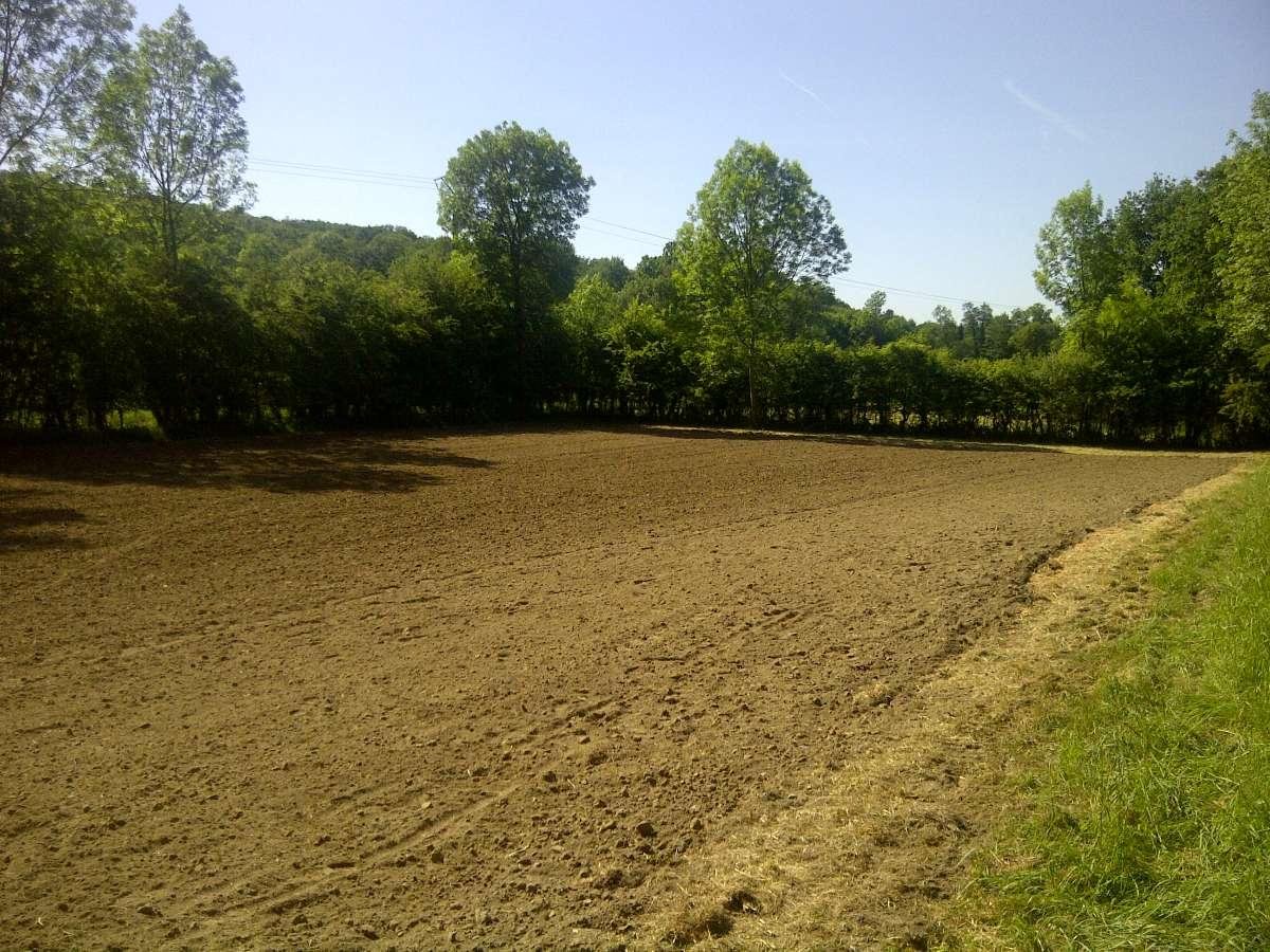 espaces verts engazonnement