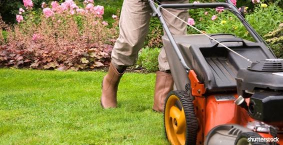 Aménagement de jardin - Etampes