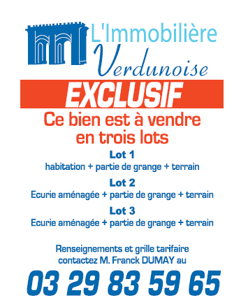 Impression publicitaires pour professionnels