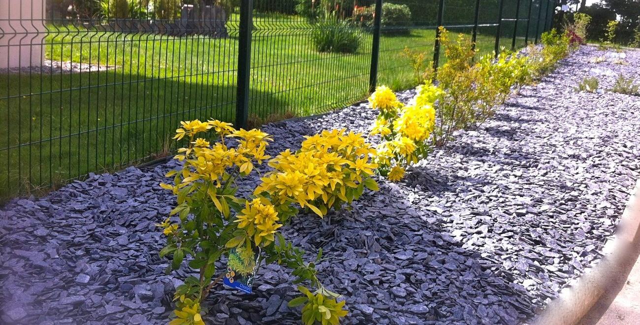 haie paysagere allaire