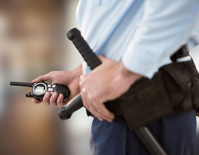 אבטחת טיולים ונסיעות