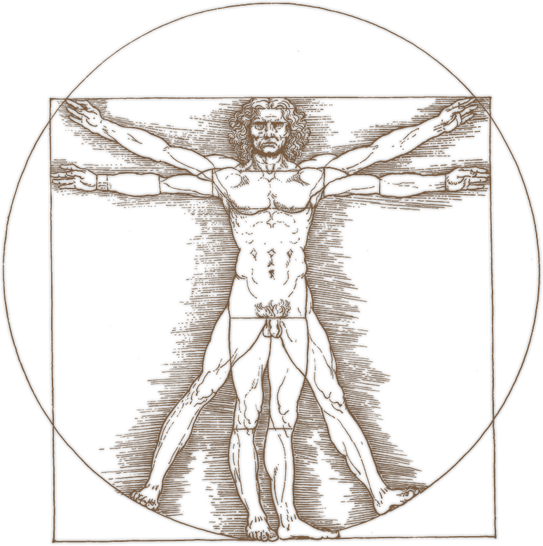 Hoyoux Stéphane footer logo