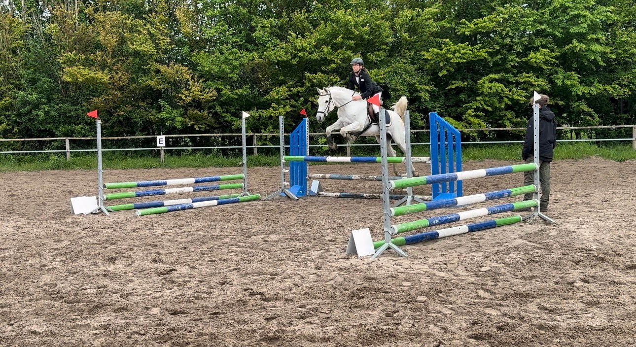 Reitabzeichen G tersloh Anika Laubner reitabzeichen-g-tersloh-anika-laubner