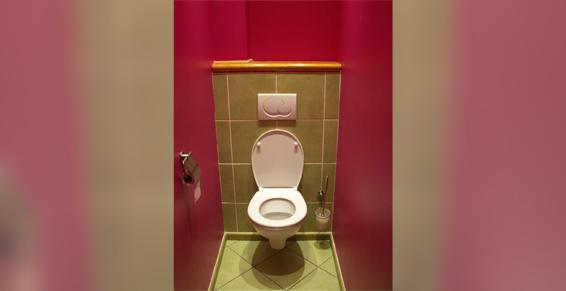 Teste René à Pont-l'Évêque - WC