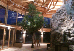 Innenansicht eines Holzgebäudes mit großen Fenstern, einem Baum und einer Felsformation.