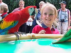 Freizeitpark