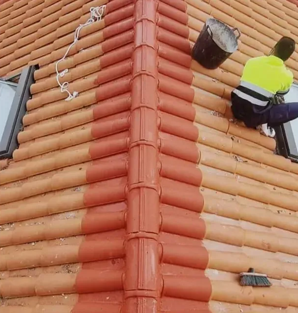 Un hombre está pintando el techo de una casa con un balde.