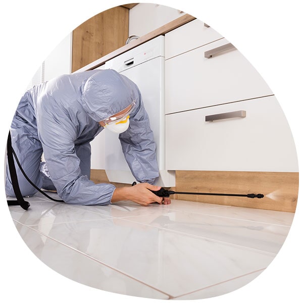 ריסוס טרם אירוע