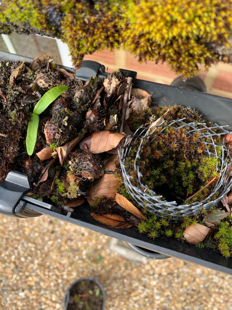 Small planter with a wire basket, dried leaves, soil, and a green sprout on a balcony ledge.
