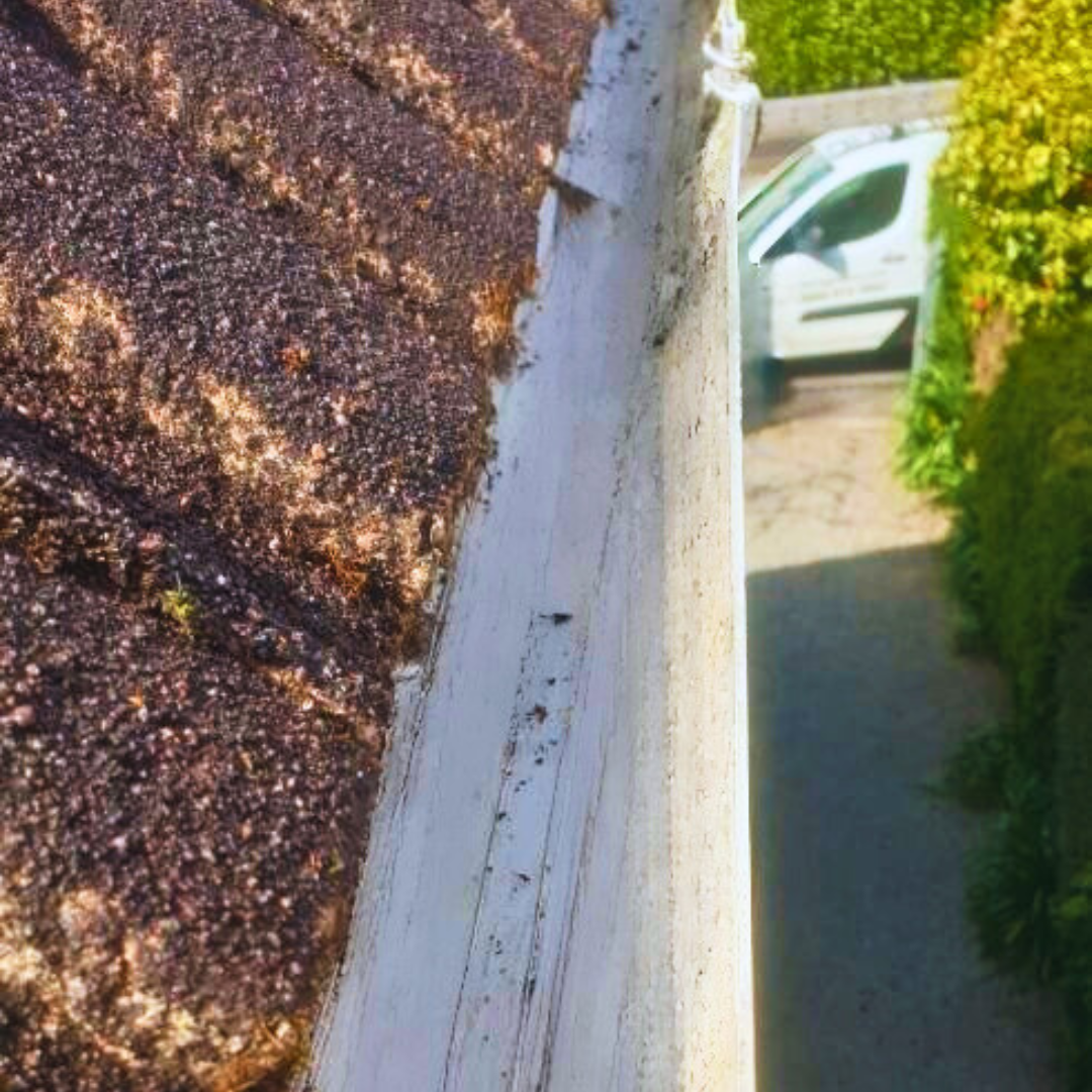 Narrow rooftop ledge beside a white car parked below, with green hedges along the path.