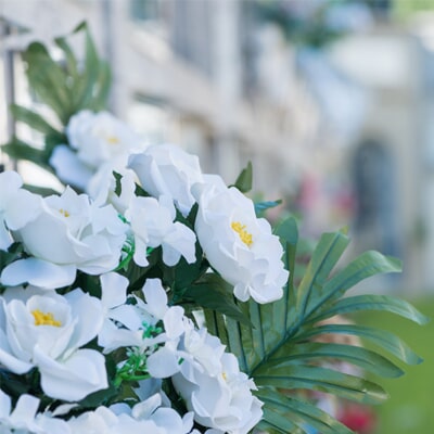 Exumação e transladação