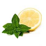 ΜΕΝΤΑ - ΛΕΜΟΝΙ