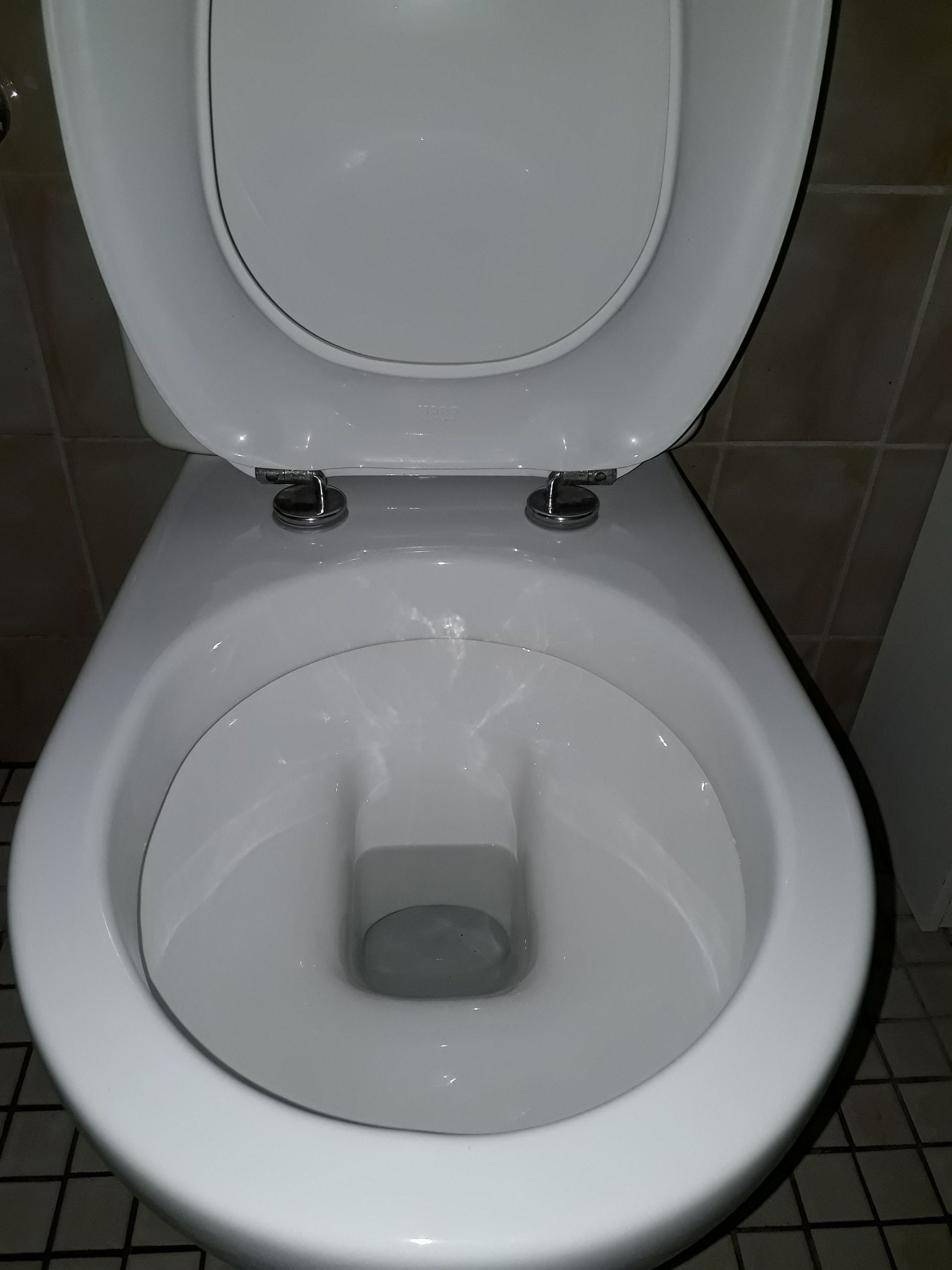 Sehen Sie Hier Die Wirkung Der ToilStar WC Entkalkung