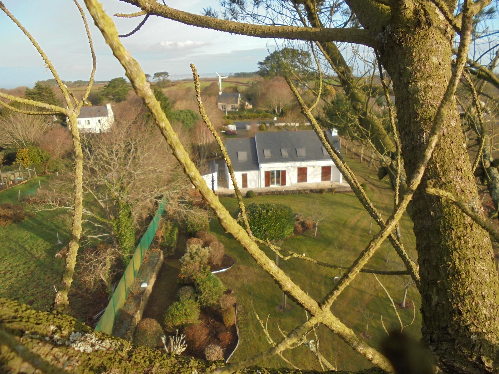 Création de massifs