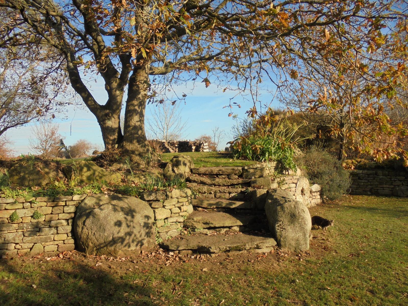 Escaliers en pierres