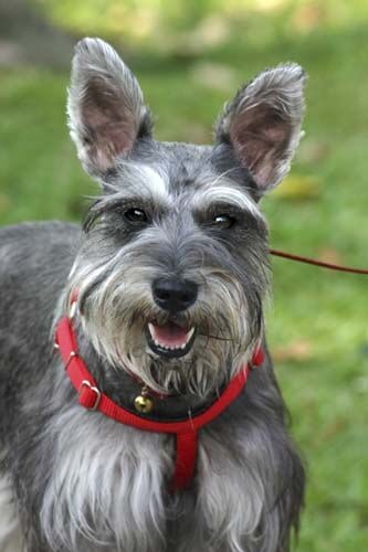 b03c9a3b-234e-47b5-bed2-70e88a73193a_LARGE