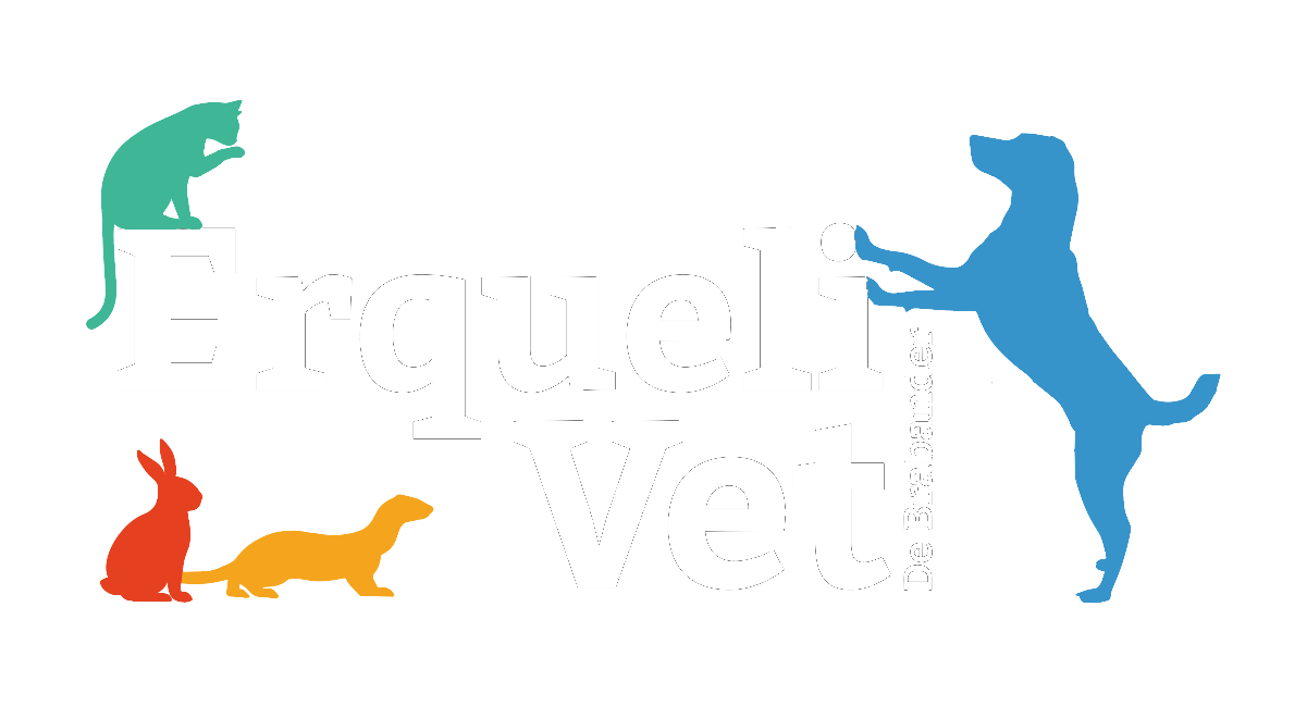 Vétérinaire Erquelinnes Dr. De Brabander logo