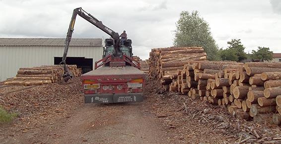 Scierie Gauthier - Proche du Limousin et de l'Auvergne