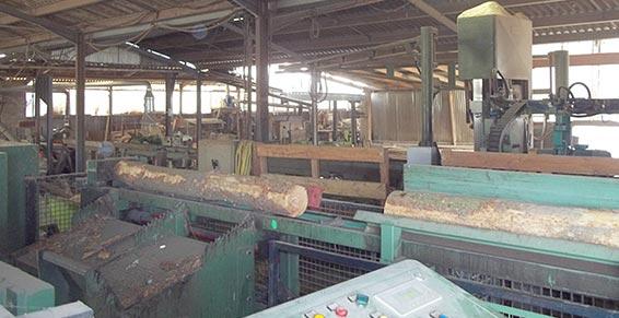 Scierie Gauthier - Scierie - CHATEAUMEILLANT - scierie