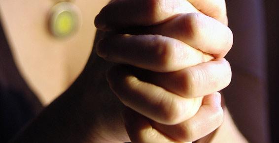 Le Cam Noelle. Consultation adultes et enfants.