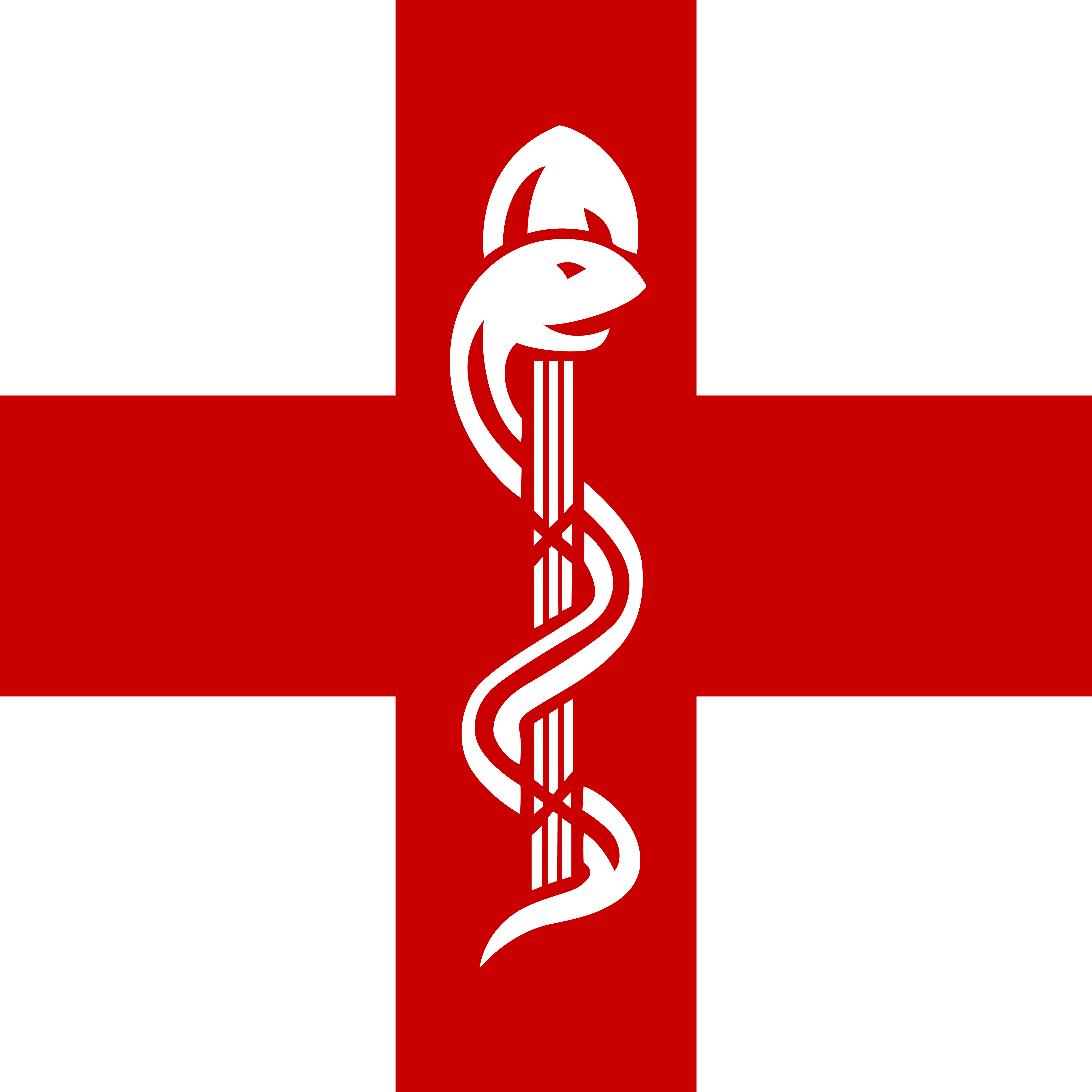 Docteur Kamkom F. Flaurette footer logo