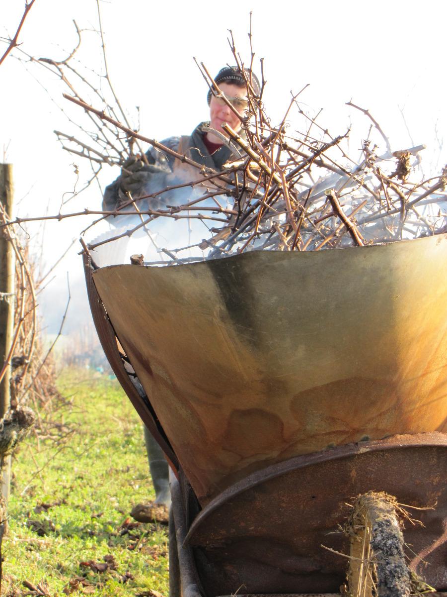 Tirage et brulage des sarments