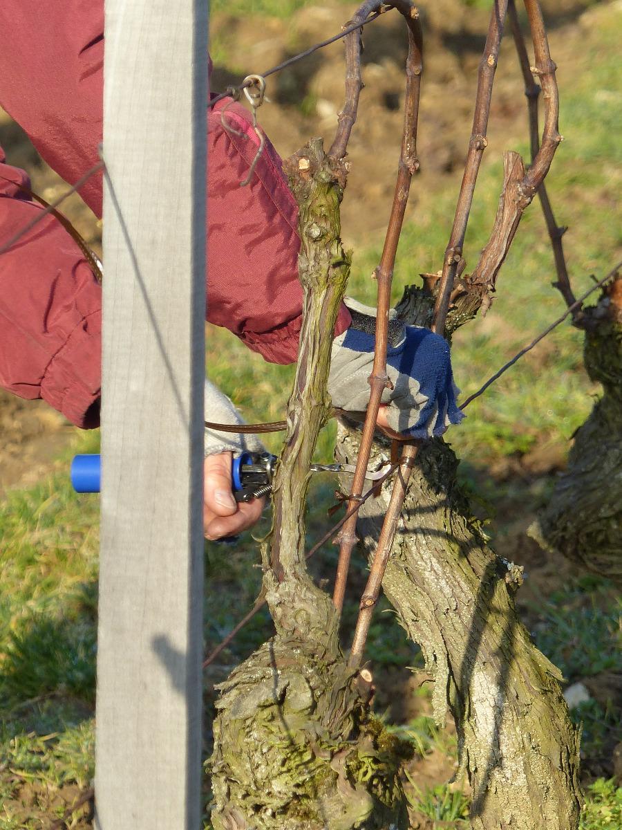Pliage des baguettes par Jean-Pierre Michel